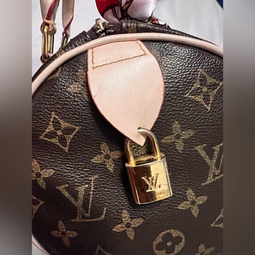 Designer Monogram Speedy Handbag in Brown - Picture 4 of 9